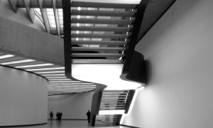 Maxxi